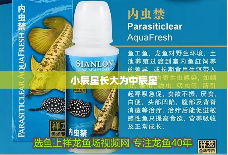 小辰星長大為中辰星