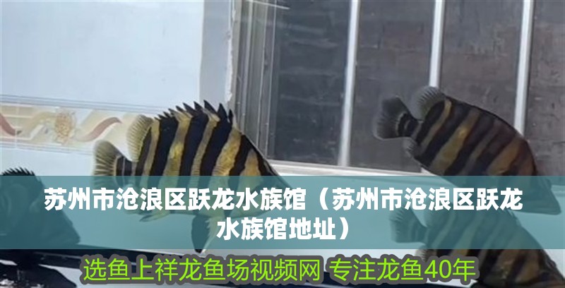 蘇州市滄浪區躍龍水族館（蘇州市滄浪區躍龍水族館地址）