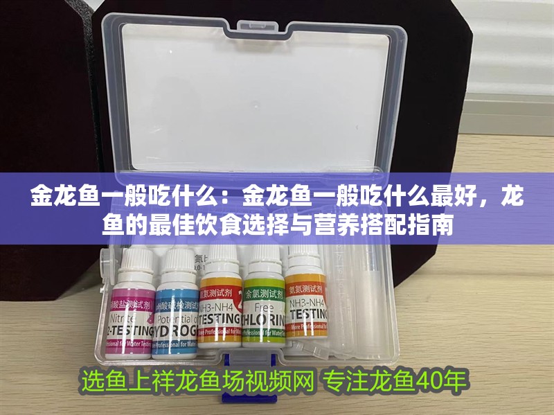 金龍魚一般吃什么：金龍魚一般吃什么最好，龍魚的最佳飲食選擇與營養搭配指南