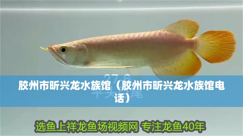 膠州市昕興龍水族館（膠州市昕興龍水族館電話）
