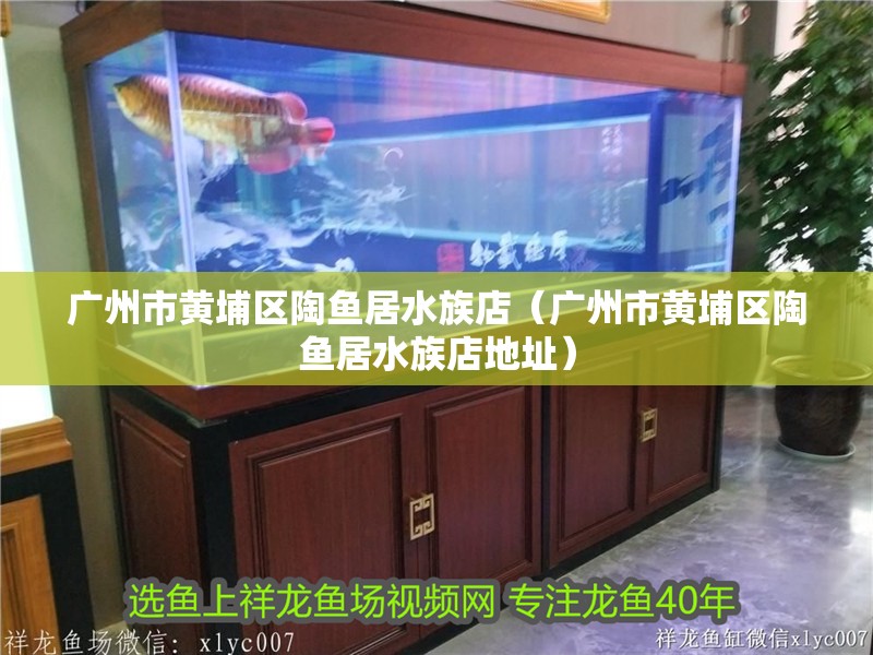 廣州市黃埔區(qū)陶魚居水族店（廣州市黃埔區(qū)陶魚居水族店地址）