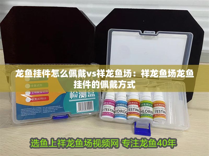 龍魚掛件怎么佩戴vs祥龍魚場：祥龍魚場龍魚掛件的佩戴方式