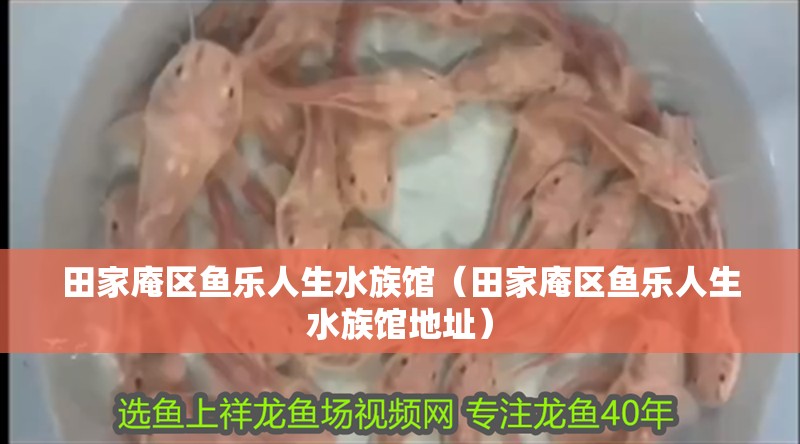 田家庵區(qū)魚樂人生水族館（田家庵區(qū)魚樂人生水族館地址）