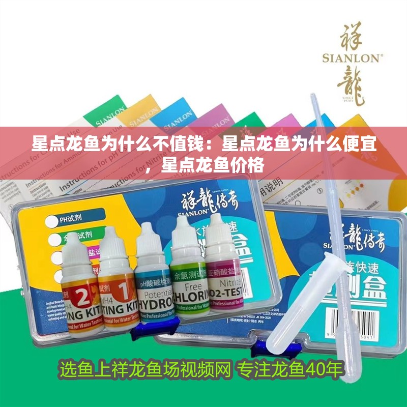 星點龍魚為什么不值錢：星點龍魚為什么便宜，星點龍魚價格