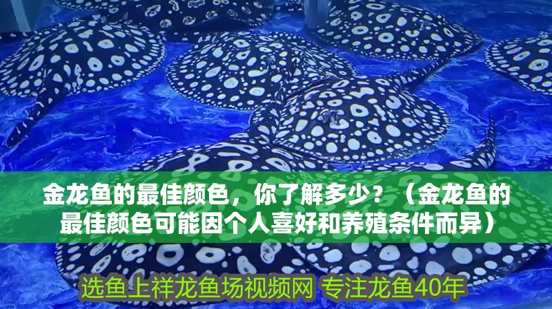 金龍魚的最佳顏色，你了解多少？（金龍魚的最佳顏色可能因個人喜好和養殖條件而異）