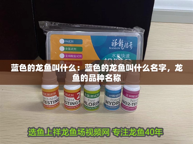 藍(lán)色的龍魚叫什么：藍(lán)色的龍魚叫什么名字，龍魚的品種名稱