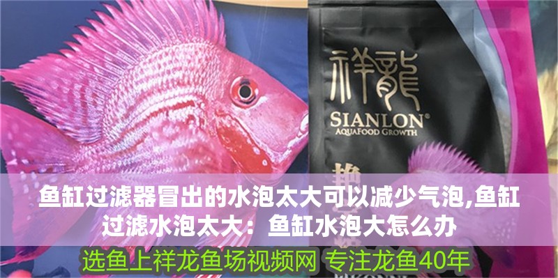 魚缸過濾器冒出的水泡太大可以減少氣泡,魚缸過濾水泡太大：魚缸水泡大怎么辦