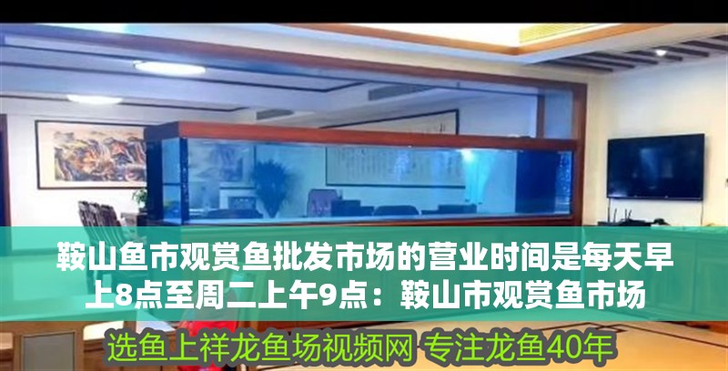 鞍山魚市觀賞魚批發市場的營業時間是每天早上8點至周二上午9點：鞍山市觀賞魚市場