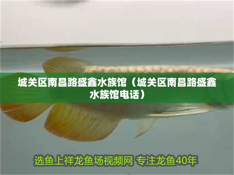 城關(guān)區(qū)南昌路盛鑫水族館（城關(guān)區(qū)南昌路盛鑫水族館電話） 城關(guān)區(qū)南昌路盛鑫水族館（城關(guān)區(qū)南昌路盛鑫水族館電話） 全國(guó)水族館企業(yè)名錄 第2張