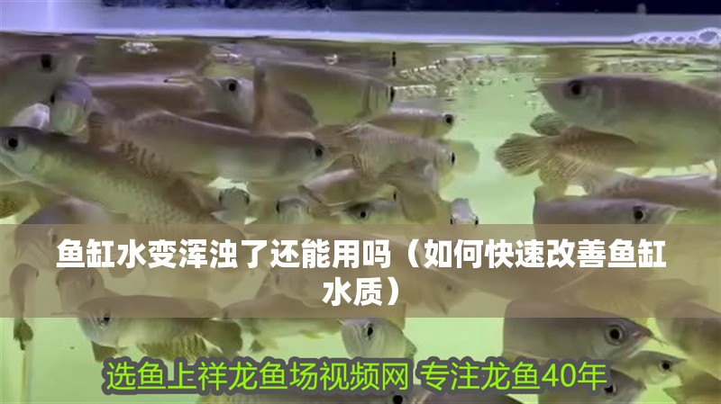 魚缸水變渾濁了還能用嗎（如何快速改善魚缸水質(zhì)）