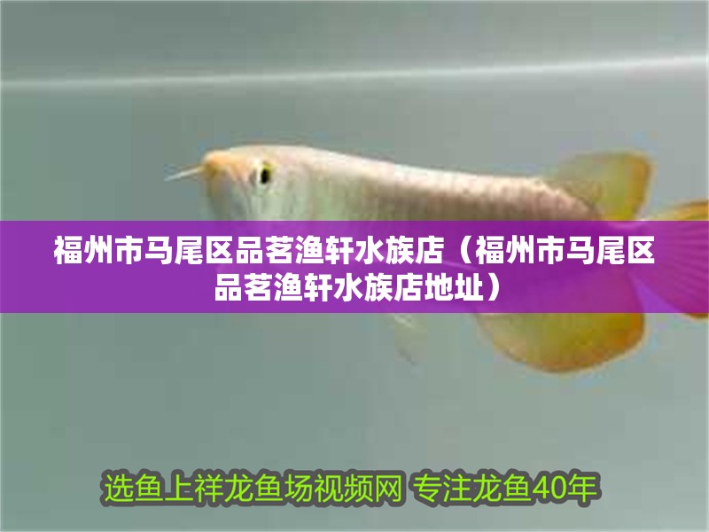 福州市馬尾區品茗漁軒水族店（福州市馬尾區品茗漁軒水族店地址）