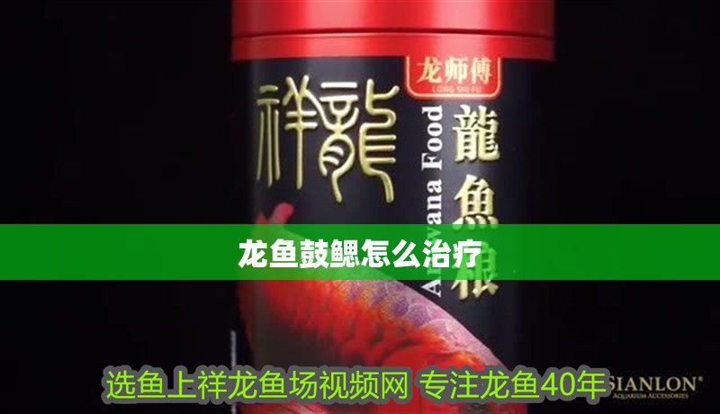 龍魚鼓鰓怎么治療