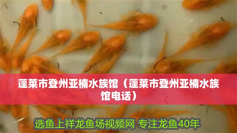 蓬萊市登州亞楠水族館（蓬萊市登州亞楠水族館電話）
