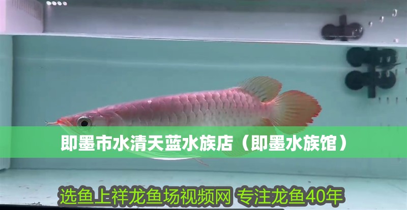 即墨市水清天藍(lán)水族店（即墨水族館）