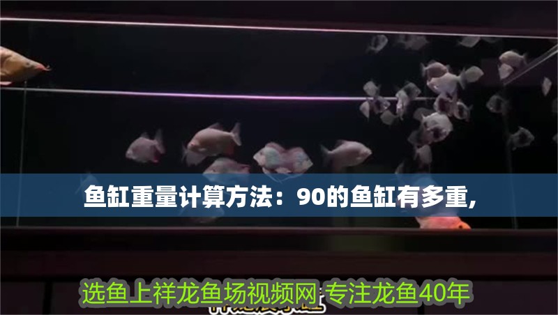 魚缸重量計算方法：90的魚缸有多重,