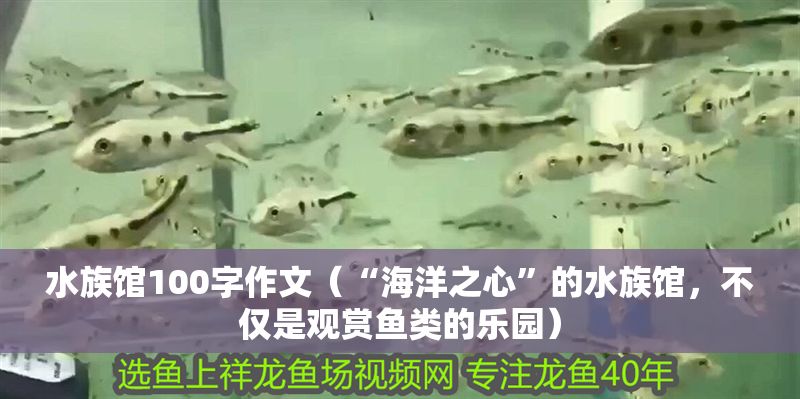 水族館100字作文（“海洋之心”的水族館，不僅是觀賞魚類的樂園）