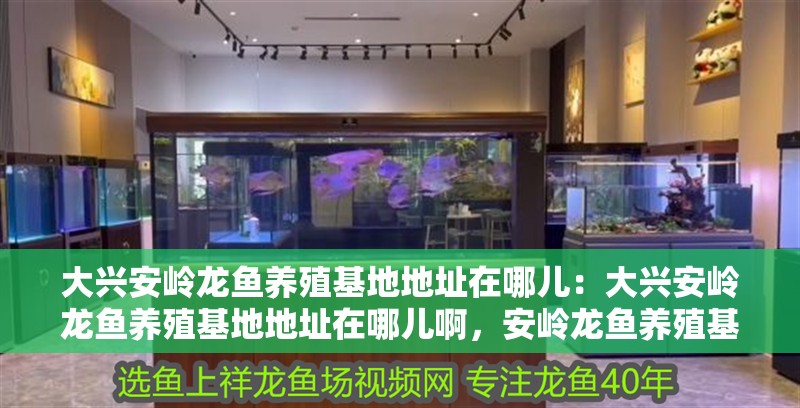 大興安嶺龍魚養殖基地地址在哪兒：大興安嶺龍魚養殖基地地址在哪兒啊，安嶺龍魚養殖基地具體位置揭秘