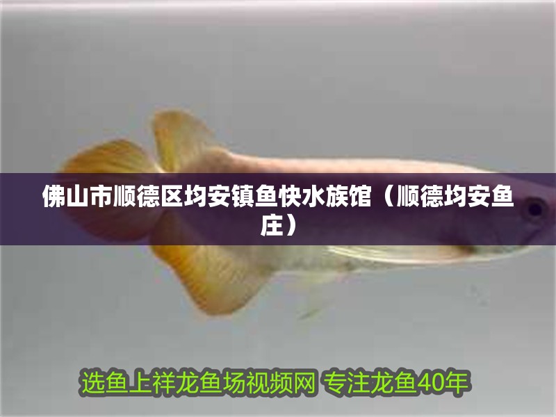 佛山市順德區(qū)均安鎮(zhèn)魚(yú)快水族館（順德均安魚(yú)莊）