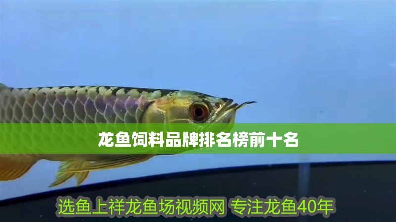 龍魚飼料品牌排名榜前十名