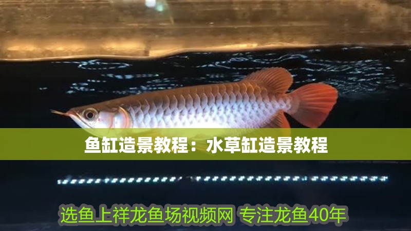 魚缸造景教程：水草缸造景教程