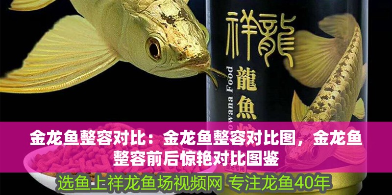 金龍魚整容對比：金龍魚整容對比圖，金龍魚整容前后驚艷對比圖鑒