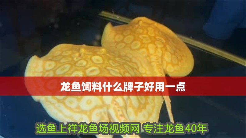 龍魚飼料什么牌子好用一點