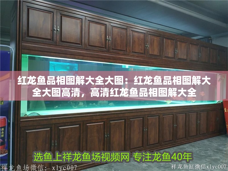 紅龍魚品相圖解大全大圖：紅龍魚品相圖解大全大圖高清，高清紅龍魚品相圖解大全