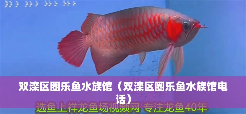 雙灤區(qū)圈樂魚水族館（雙灤區(qū)圈樂魚水族館電話）