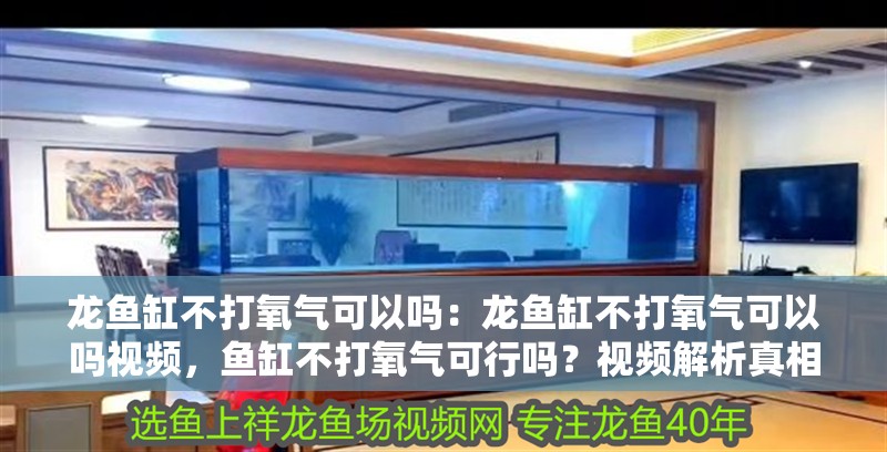 龍魚缸不打氧氣可以嗎：龍魚缸不打氧氣可以嗎視頻，魚缸不打氧氣可行嗎？視頻解析真相