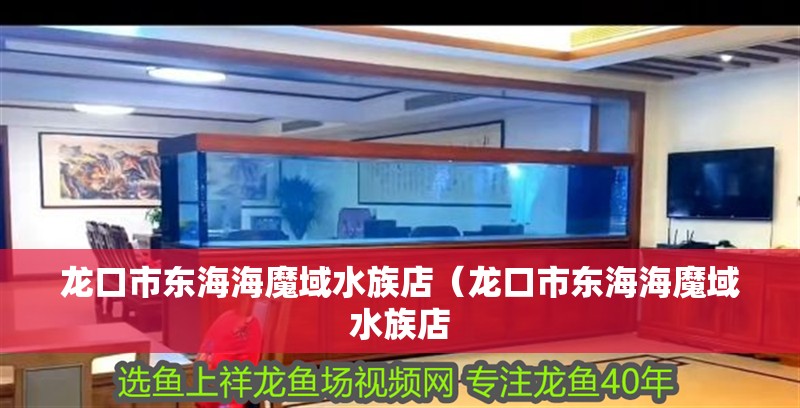 龍口市東海海魔域水族店（龍口市東海海魔域水族店