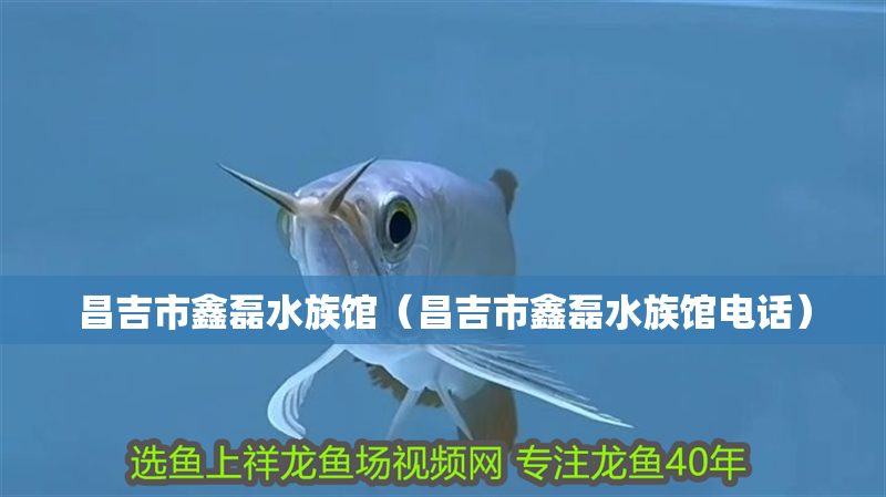 昌吉市鑫磊水族館（昌吉市鑫磊水族館電話）