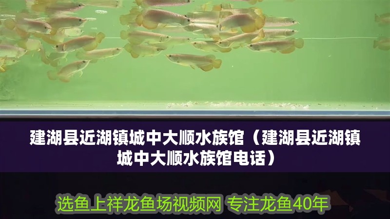 建湖縣近湖鎮城中大順水族館（建湖縣近湖鎮城中大順水族館電話） 建湖縣近湖鎮城中大順水族館（建湖縣近湖鎮城中大順水族館電話） 全國水族館企業名錄 第2張
