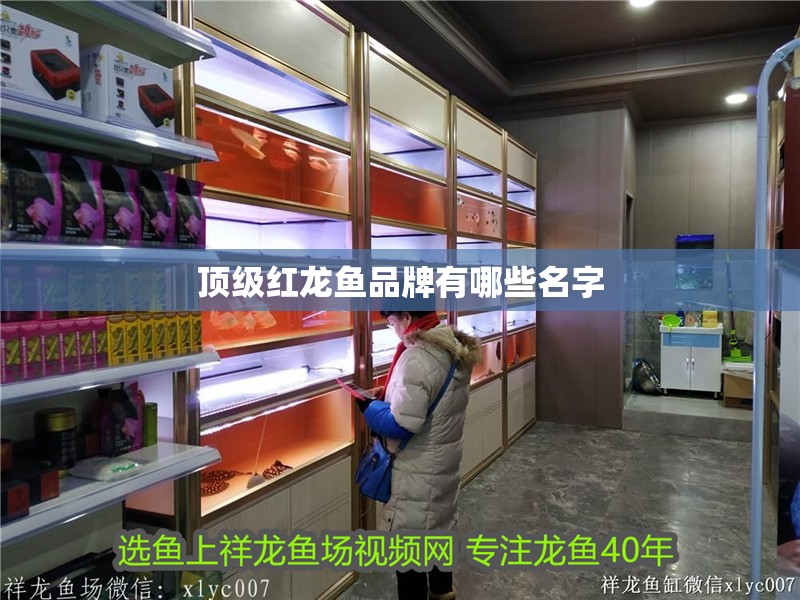 頂級紅龍魚品牌有哪些名字