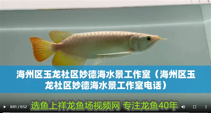 海州區(qū)玉龍社區(qū)妙德海水景工作室（海州區(qū)玉龍社區(qū)妙德海水景工作室電話）