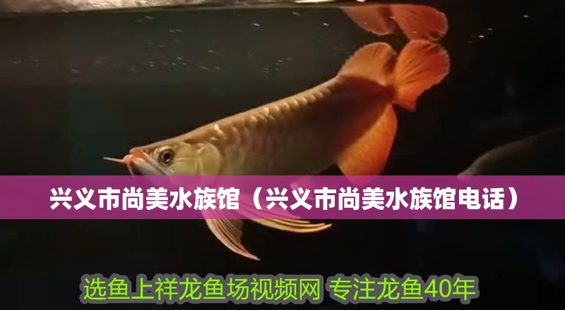 興義市尚美水族館（興義市尚美水族館電話）
