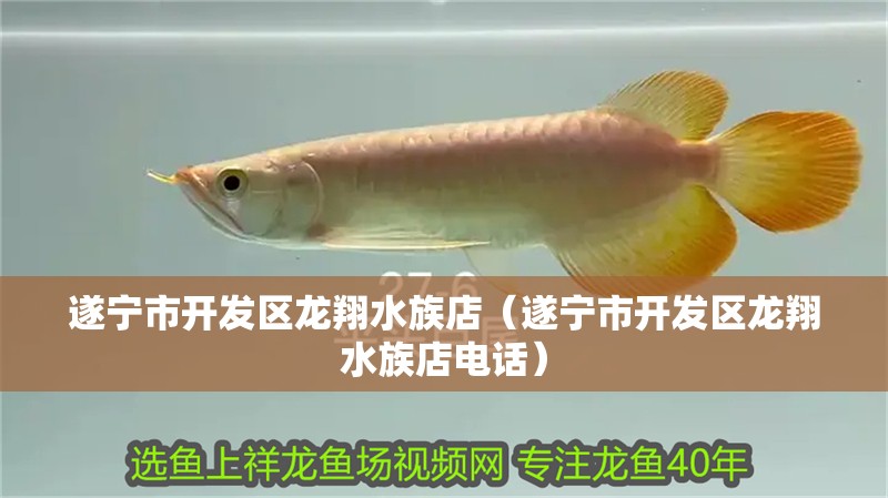 遂寧市開(kāi)發(fā)區(qū)龍翔水族店（遂寧市開(kāi)發(fā)區(qū)龍翔水族店電話）