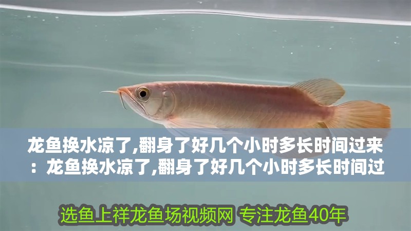 龍魚換水涼了,翻身了好幾個小時多長時間過來：龍魚換水涼了,翻身了好幾個小時多長時間過來正常，龍魚換水后低溫應激，翻身數小時多久恢復正常？
