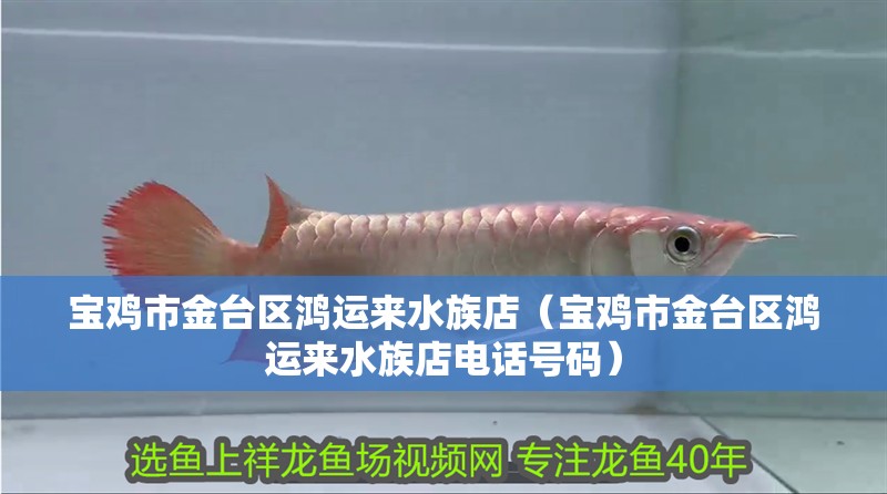 寶雞市金臺區(qū)鴻運(yùn)來水族店（寶雞市金臺區(qū)鴻運(yùn)來水族店電話號碼）