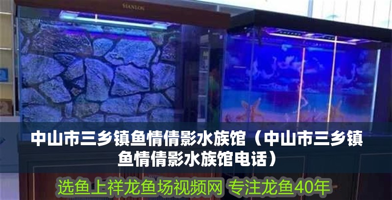中山市三鄉鎮魚情倩影水族館（中山市三鄉鎮魚情倩影水族館電話）