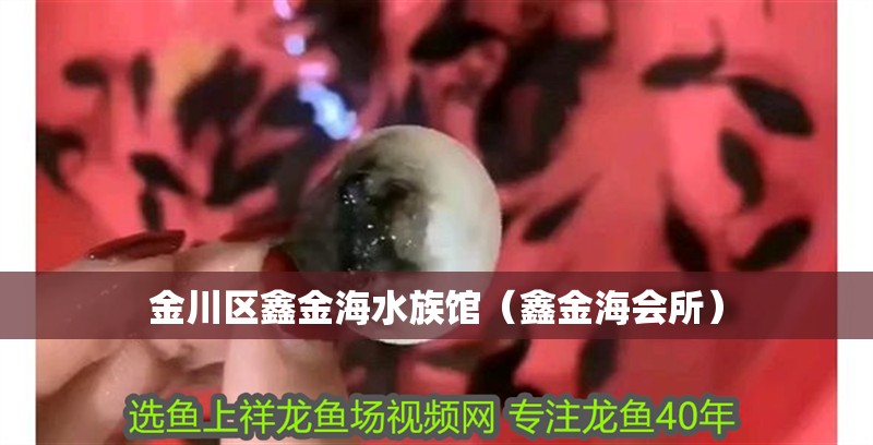 金川區(qū)鑫金海水族館（鑫金海會(huì)所）