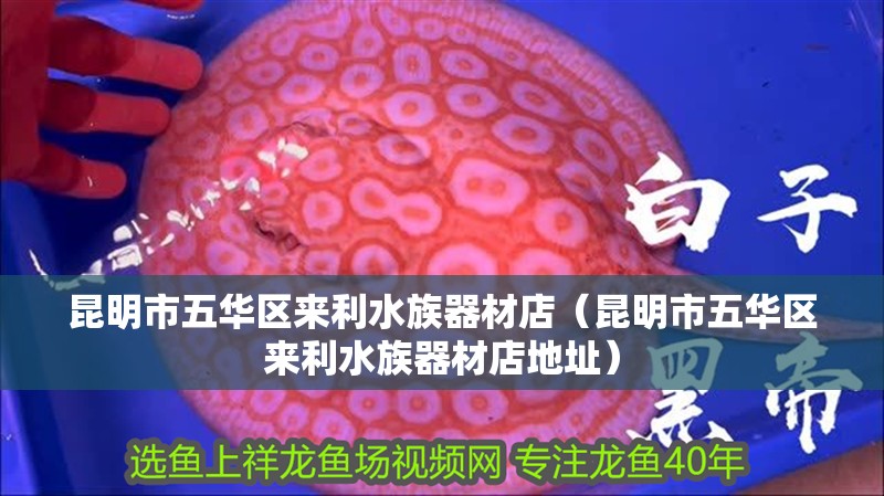 昆明市五華區(qū)來(lái)利水族器材店（昆明市五華區(qū)來(lái)利水族器材店地址）