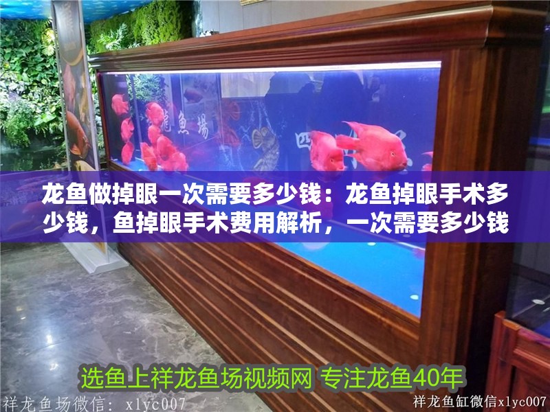 龍魚做掉眼一次需要多少錢：龍魚掉眼手術多少錢，魚掉眼手術費用解析，一次需要多少錢