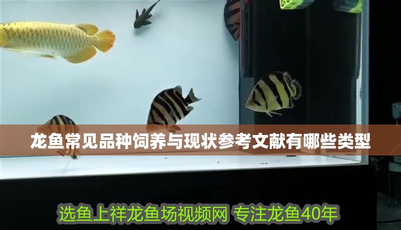 龍魚常見品種飼養與現狀參考文獻有哪些類型