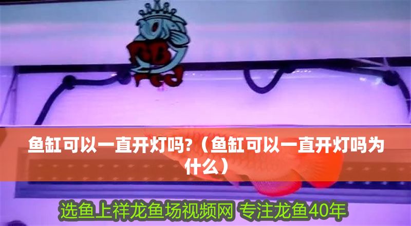 魚缸可以一直開燈嗎?（魚缸可以一直開燈嗎為什么）