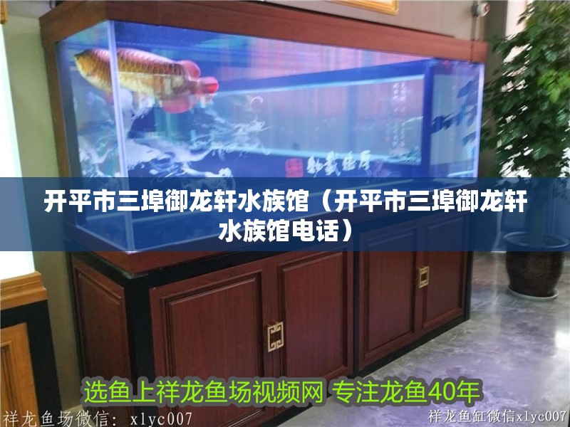 開平市三埠御龍軒水族館（開平市三埠御龍軒水族館電話）