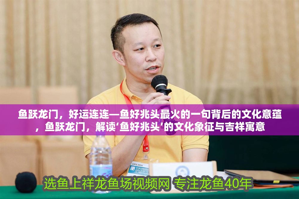 魚躍龍門，好運連連—魚好兆頭最火的一句背后的文化意蘊，魚躍龍門，解讀‘魚好兆頭’的文化象征與吉祥寓意