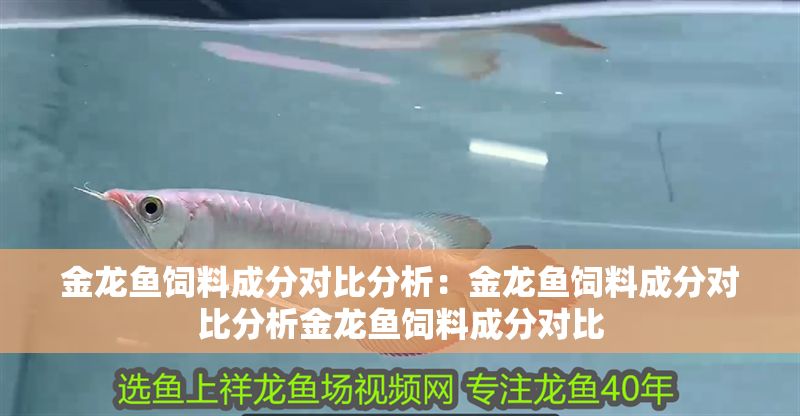金龍魚(yú)飼料成分對(duì)比分析：金龍魚(yú)飼料成分對(duì)比分析金龍魚(yú)飼料成分對(duì)比