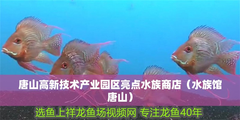 唐山高新技術產業園區亮點水族商店（水族館唐山）
