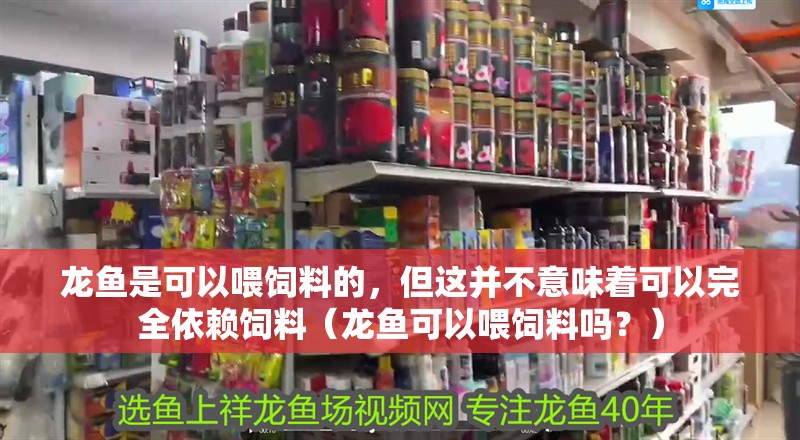 龍魚是可以喂飼料的，但這并不意味著可以完全依賴飼料（龍魚可以喂飼料嗎？）
