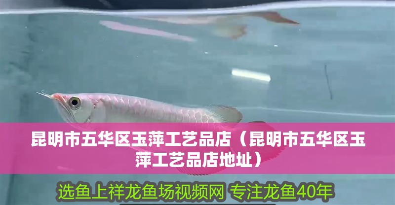 昆明市五華區玉萍工藝品店（昆明市五華區玉萍工藝品店地址）